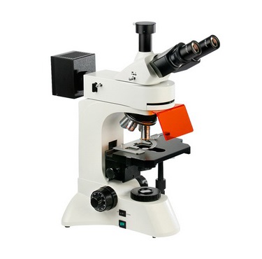 正置荧光显微镜